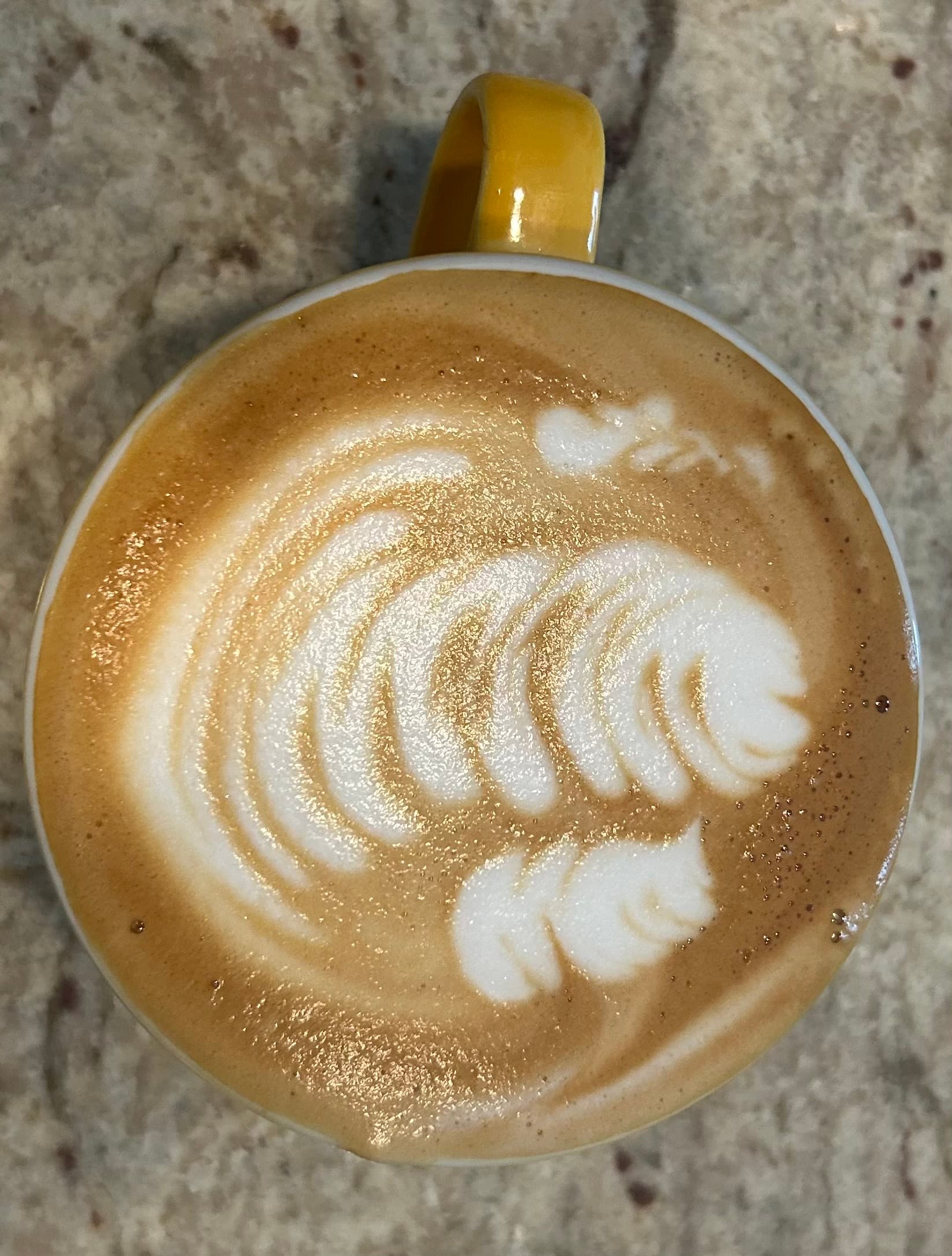a happy regular