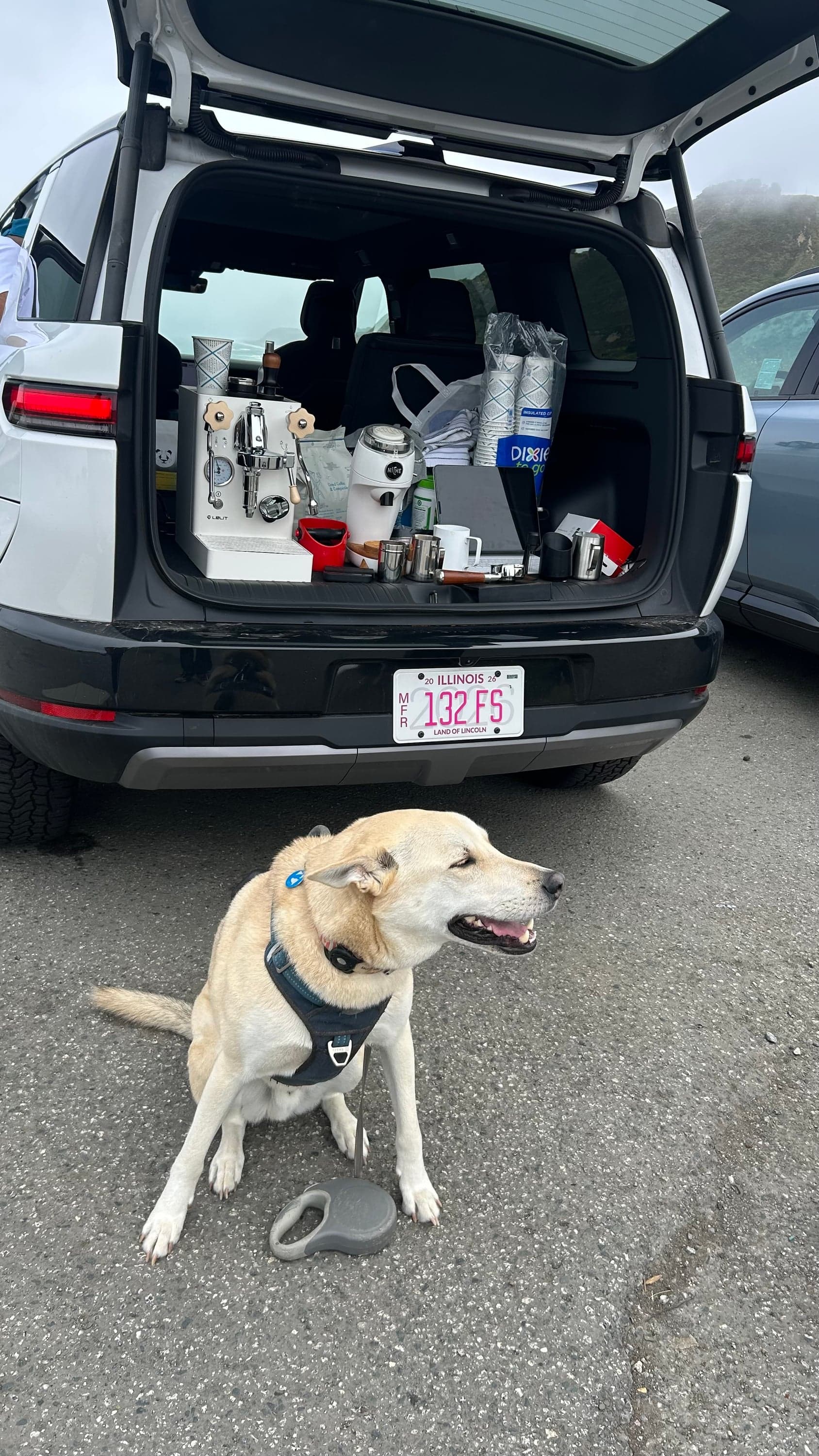 the tailgate, set up